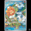 Castform SSP #195